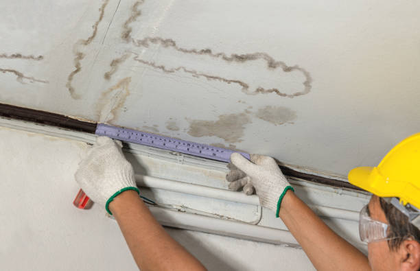 Reliable Structural Drying contractor in Eastpointe, MI by Hirex Water Damage